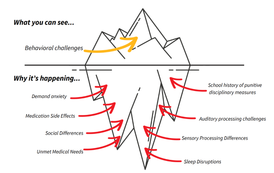 A graphic by PDA North America showing the separation between behavioural displays of PDA and underlying triggers, represented by an iceberg with "what you can see" on top and "why it's happening" on the bottom.